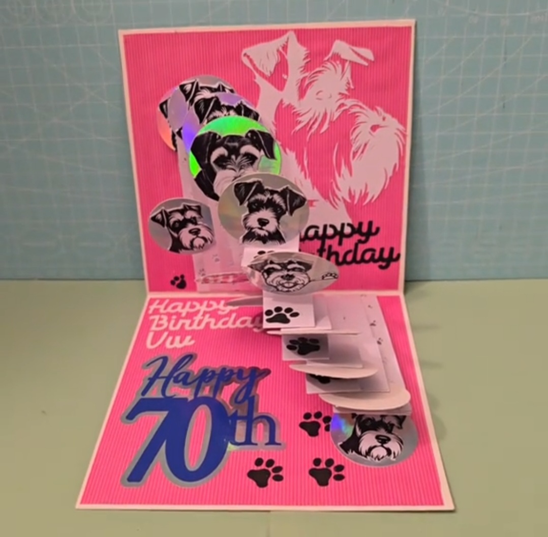 Screenshot_20250826_110644_Video Player Screenshot_20250826_110644_Video Player